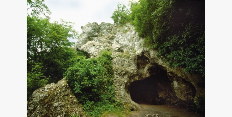 Grotte de Spy